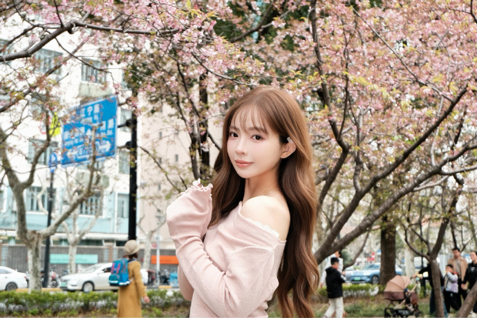 蜘蛛池如何配合内链策略？